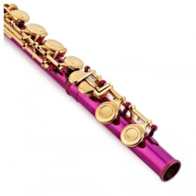 Elkhart Vincent Bach Pink Flute Pack | Split E Mechanism Offset G ~ image 3