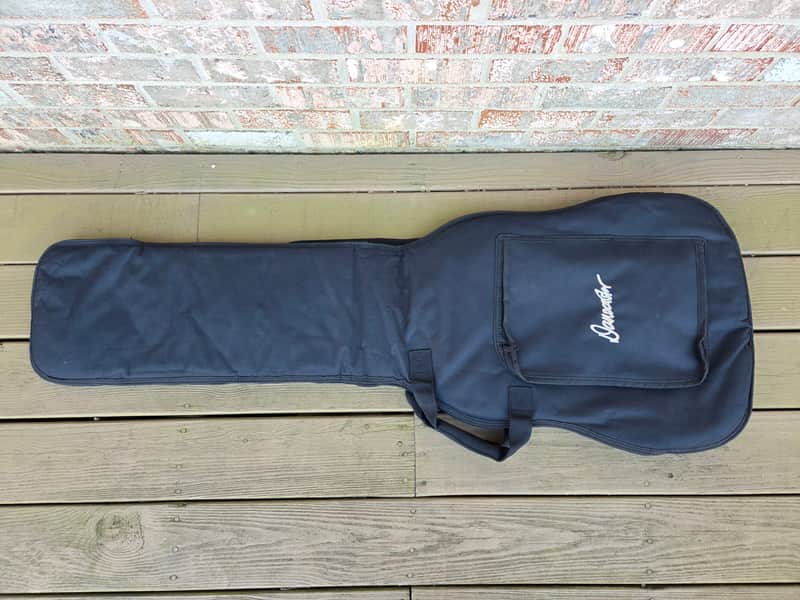 Lightly Used Danocaster Bass Gig Bag! image 1