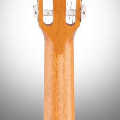 Taylor 814ce-N Grand Auditorium Classical Nylon Acoustic-Electric Guitar (with Case) image 8