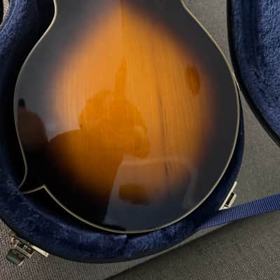 Morgan Monroe Rockytop 8 string Mandolin with Pickup image 2
