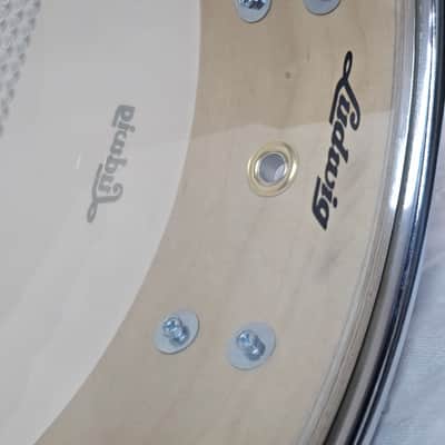 Ludwig Classic Maple 2026 - Vintage Black Oyster image 17