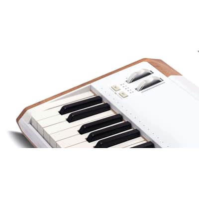 Arturia AstroLab 61-key Stage Keyboard (B-Stock) image 7