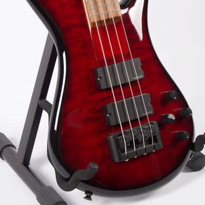 Spector Rebop Black Cherry image 1