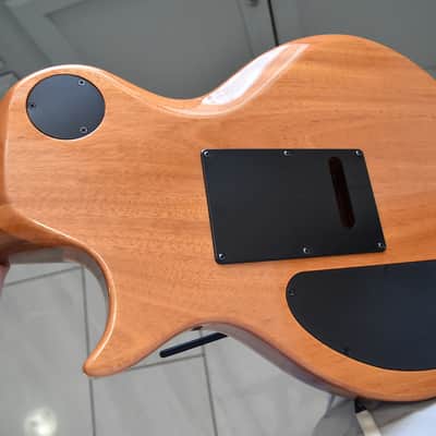 Kiesel CS6, High specs, Gorgeous specimen, 2020, Tremolo equipped image 16