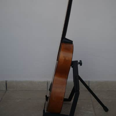 Original 19th Century TERZ guitar - Very rare! image 17
