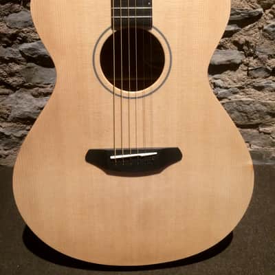 Breedlove Concert Sunlight e image 2