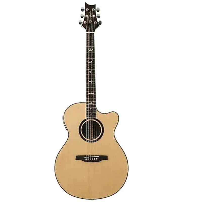 PRS SE Angelus Custom with Electronics image 1