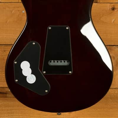 PRS SE DGT Standard Moons - McCarty Tobacco Sunburst image 4