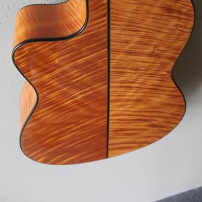 Brand New Cordoba Fusion 14 Maple Nylon String Acoustic/Electric Classical Guitar image 11
