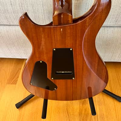 PRS Custom 24 Experience Limited Edition 2011 Faded Abelone image 4