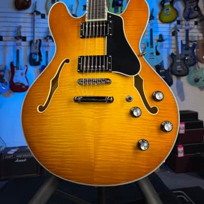 Eastman Guitars T486-GB Thinline Semi-hollowbody Electric Guitar - Goldburst, w Case, Free Plek! 822 image 4