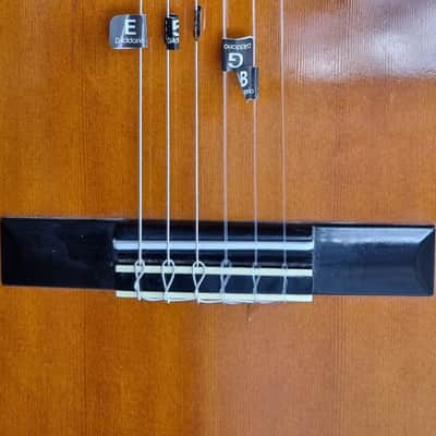 Yamaha G-228 1980s Natural image 2