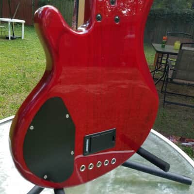 Lakland 55-02 Deluxe 2008 image 7