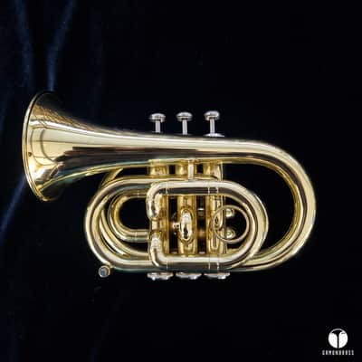 Jupiter pocket trumept case mouthpiece trumpet GAMONBRASS image 1