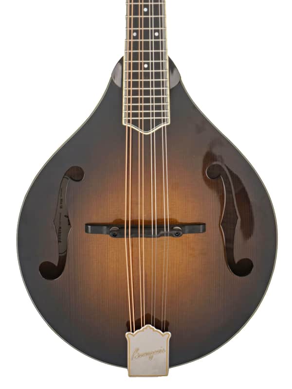 Bourgeois M5-A SB Mandolin #M2512108 image 1