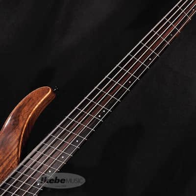 DINGWALL AfterBurner II 5st Fretless -Claro Walnut Top/Walnut Back/Wenge Neck- (Special Price) image 6