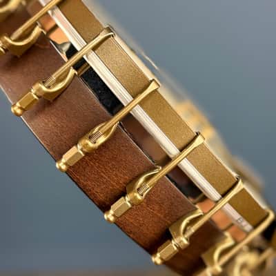 Custom Vega Senator 19-Fret Tenor Banjo with Fiberskin head, Vintage Star Hardware and Marbled Fretboard image 15