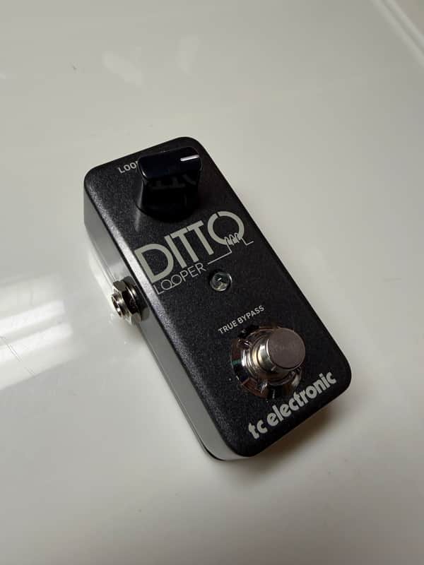 TC Electronic Ditto Looper 2013 - Present - Black image 1
