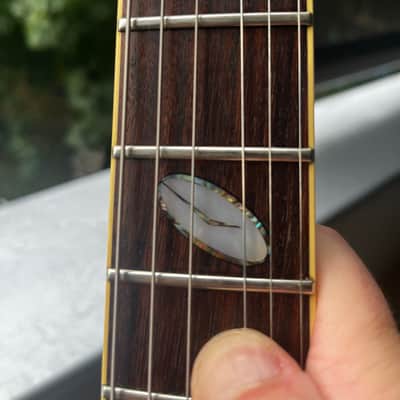 Caparison Apple Horn 2005 - Orange image 6