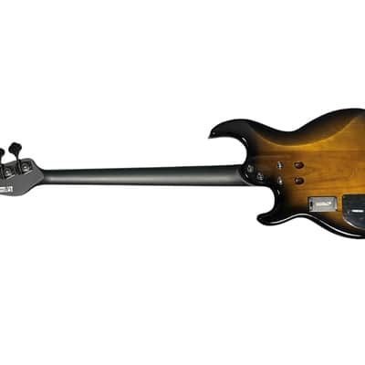 Yamaha BB734A Dark Coffee Burst w/ Rosewood *IN STOCK** image 7