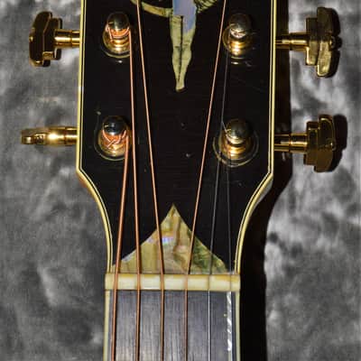 1979 Greven - Custom White Queen Cutaway image 9