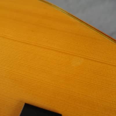 Cat’s Eyes CE-250 MIJ Dreadnought Acoustic Guitar w/ Hard Case image 17