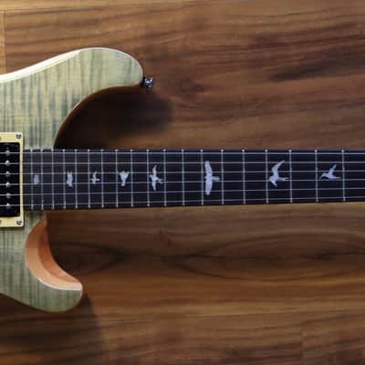 PRS SE Custom 24 2017 Trampas Green image 1