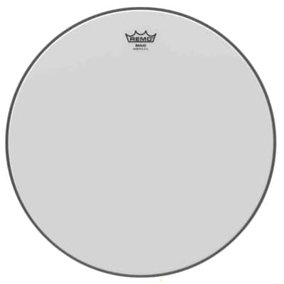 Remo Banjo Head Coated Bottom High Collar 11 2/16" image 1