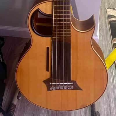 Warwick Alien Acoustic 6-String Bass w/ Fishman Piezo Prefix System A/E w/ Bag - 7.5 Pounds #8667-21 Warwick Alien 6-String Acoustic Bass image 1