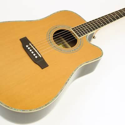 2016 Zager ZAD-80CE Dreadnought Acoustic-Electric Guitar w/HSC #160112921 image 2
