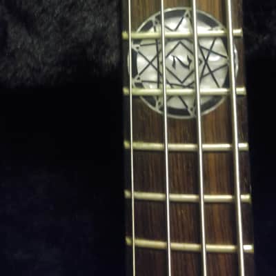 Ibanez PGBIL image 3