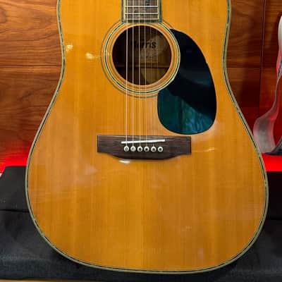 Morris W-65M "Tree of Life" 1970s MIJ Acoustic Natural W/HARD CASE image 2