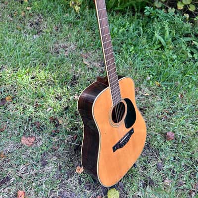 1970s Fender F-80-12 12 String Acoustic image 2
