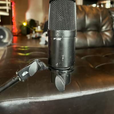 Heil PR30B Large-Diaphragm Dynamic Microphone – Killer Guitar Cab Mic, Ribbon-Like Tone, Made in USA image 2