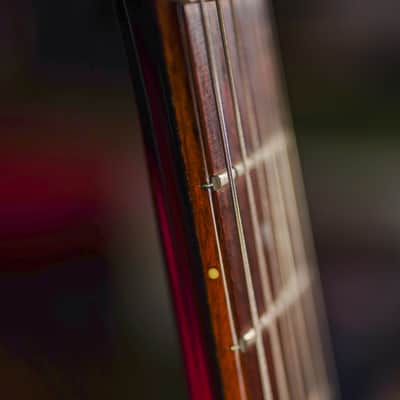 Rarest of Rare 1979 Hamer Sunburst in Black with Cream Binding-The Best one you'll ever find-L@@K image 8