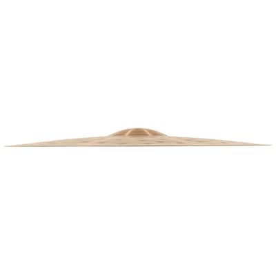 Meinl Cymbals PA22EHR Pure Alloy Extra Hammered Ride - 22" image 2