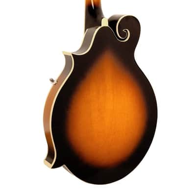 Gold Tone GM-35 F-Style Mandolin - Tobacco Sunburst image 6