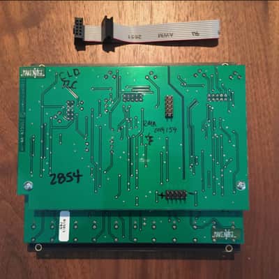 Black & Gold Make Noise DPO Dual Primary Oscillator Module image 2