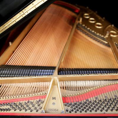 1919 Steinway Grand, Model M - Ebony image 5