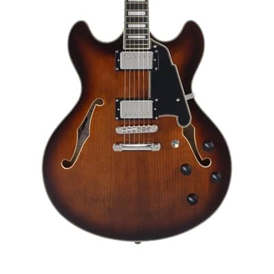 Guitare Electrique D'ANGELICO PREMIER DC BROWN BURST image 6