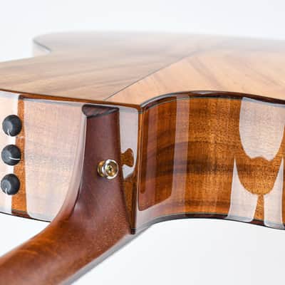Taylor 714ce-LTD Koa Fall Edition 2008 image 8
