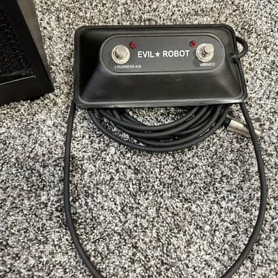 Evil Robot Phil X Custom 214 EVR-C30 Combo Amp w/ Footswitch image 9