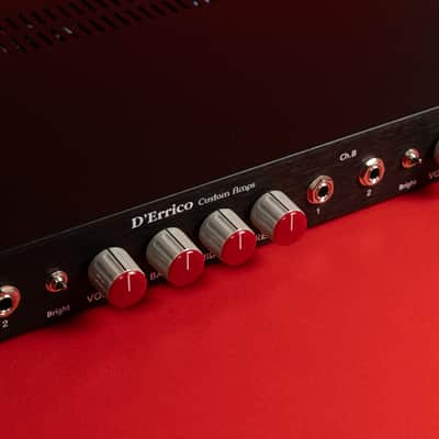 D'Errico Custom VK-R2 preamp (Alembic F2B) STEREO - point to point image 15