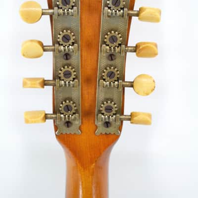 1920s Banjolin - Regal? Mandolin Banjo image 5