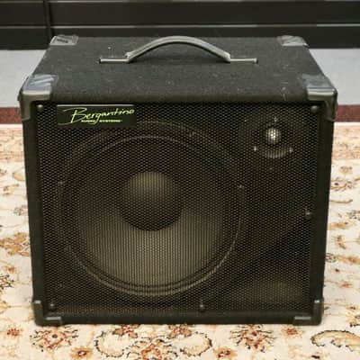 Bergantino IP112 Active Bass Cabinet with Soft Cover image 2