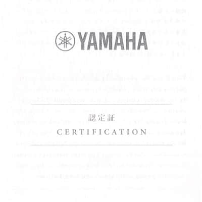 Yamaha FS9 R #ILM006A image 11
