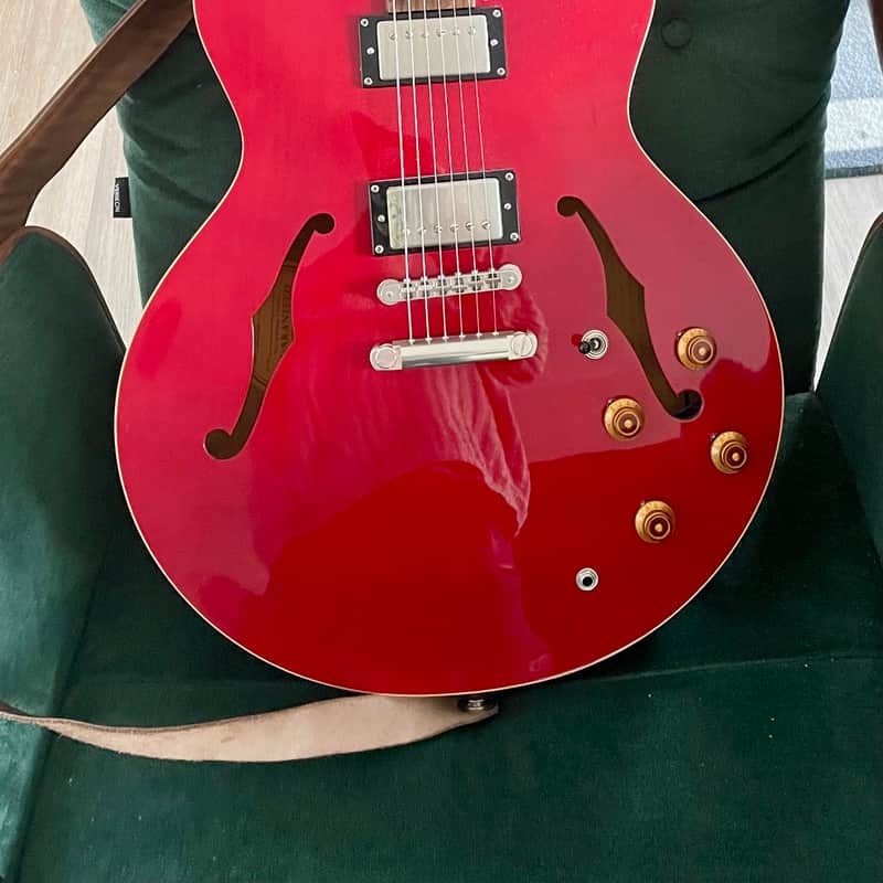2004 Epiphone The Dot Cherry