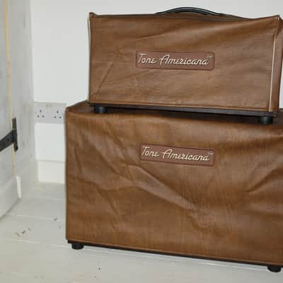Evil Robot hand wired Head and Cab Magnatone Tonemaster Tonemonster Phil X image 9