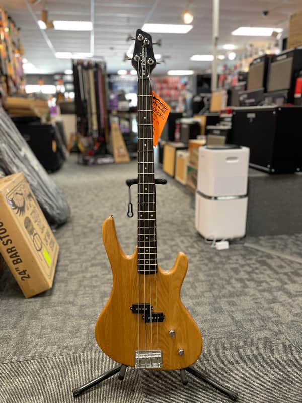 Washburn XB 100 | Reverb