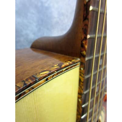 Washburn DK20CET Acoustic/Electric Guitar w/Gig Bag Natural image 8